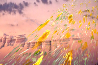 image: Landscape Imagined (iii)